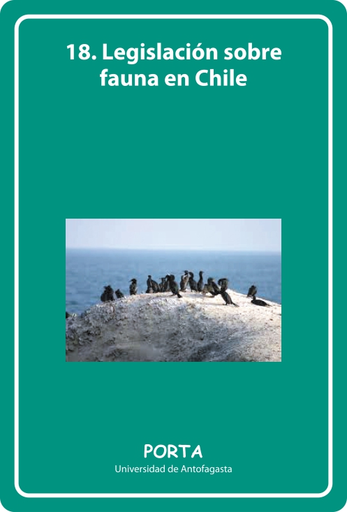 Portada Frontal